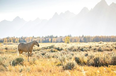 智能工厂建设方案:九游会j9中国官方网站赋能新材料生产行业数字化转型